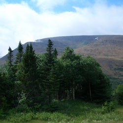 Newfoundland